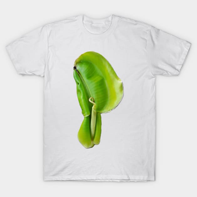 One banana leaf sprout looks like an ear auricle T-Shirt by kall3bu